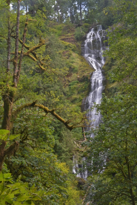 Munson Creek Falls